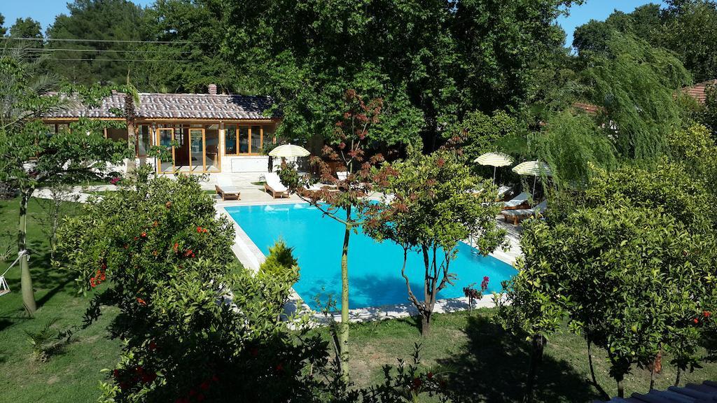 Sedir Palas Hotel Çıralı Luaran gambar
