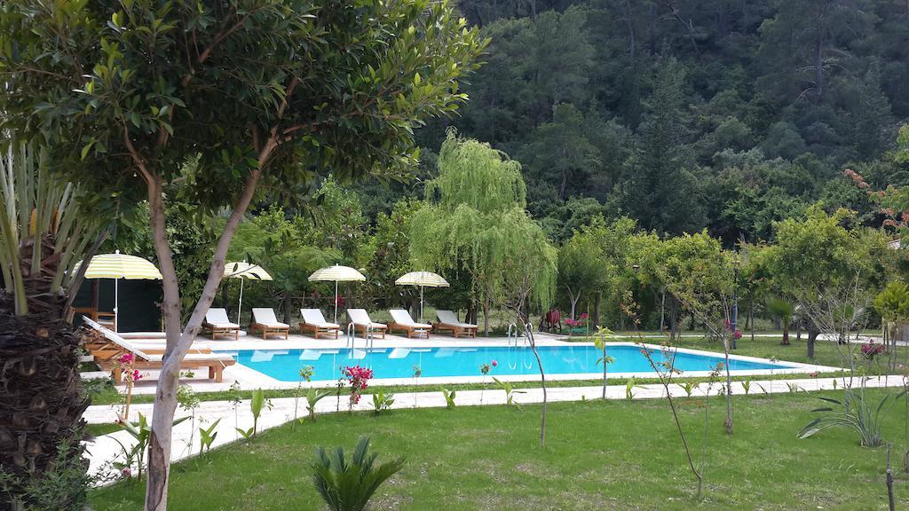 Sedir Palas Hotel Çıralı Luaran gambar
